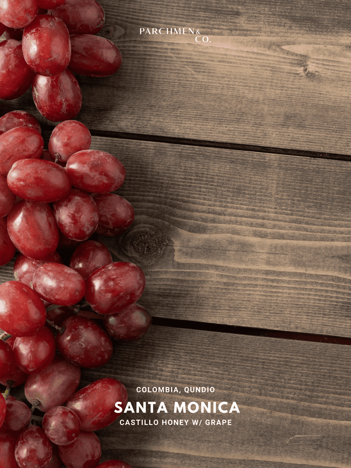 Jairo Arcila Santa Monica (Grape)