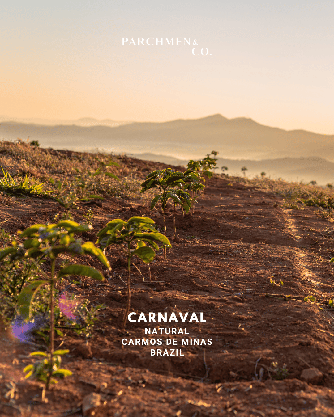 Brazil Regional - Carnaval Natural