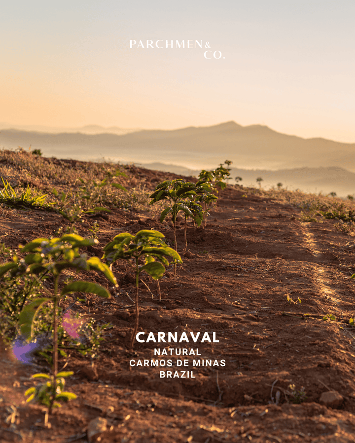 Brazil Regional - Carnaval Natural