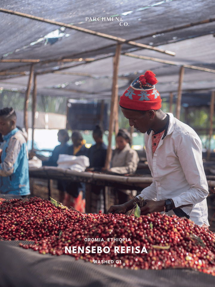 Ethiopia Nensebo Refisa Washed G1