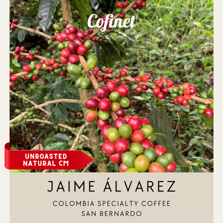 Colombia - Jamie Alvarez, San Bernardo Natural CM