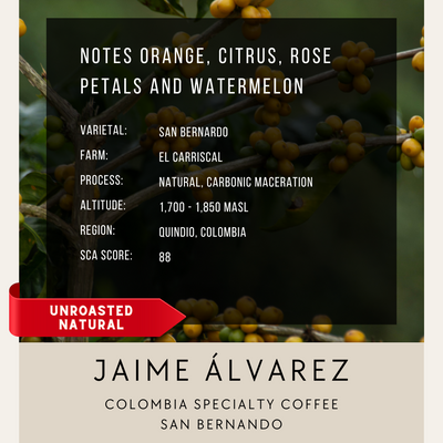 Colombia - Jamie Alvarez, San Bernardo Natural CM
