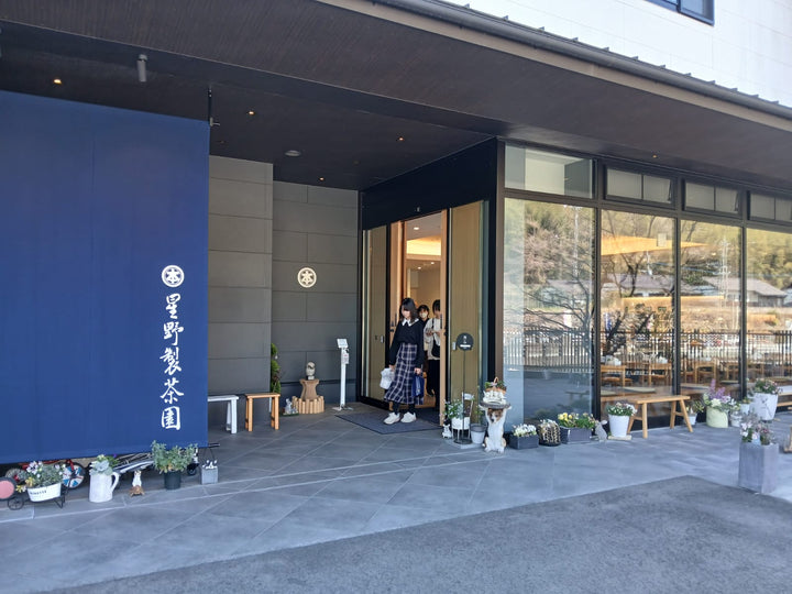 Hoshino seichaen - Ceremonial Matcha Hoshinotsuyu (星野製茶園 星の露) 40g