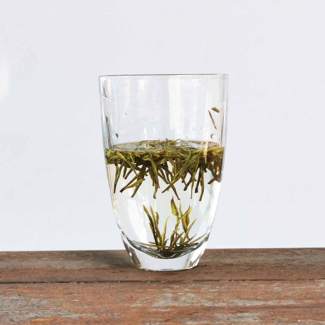 2025 Pre-Qingming Harvest Anji Bai Cha 安吉白茶