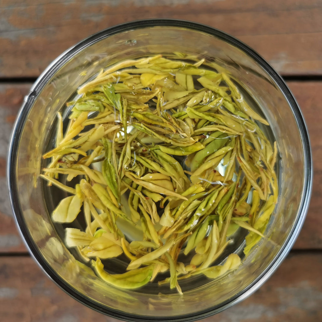 2025 Anji Huang Jin Ya 安吉黄金芽 Pre-Qingming Harvest