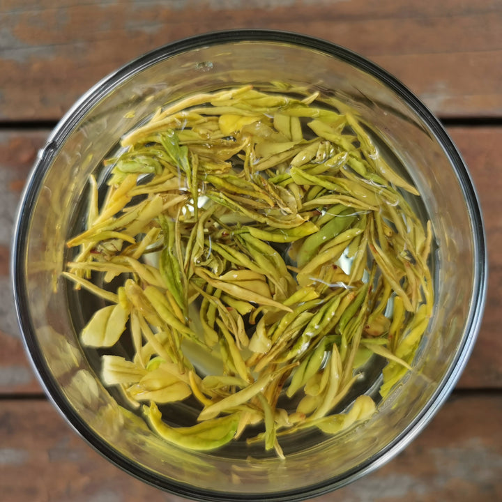 2025 Anji Huang Jin Ya 安吉黄金芽 Pre-Qingming Harvest