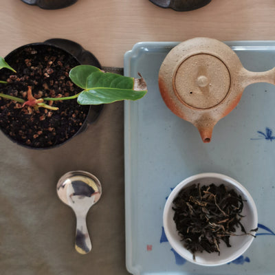 2017 Geng Ma Raw Pu'er 耿马古树生茶