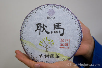 2017 Geng Ma Raw Pu'er 耿马古树生茶