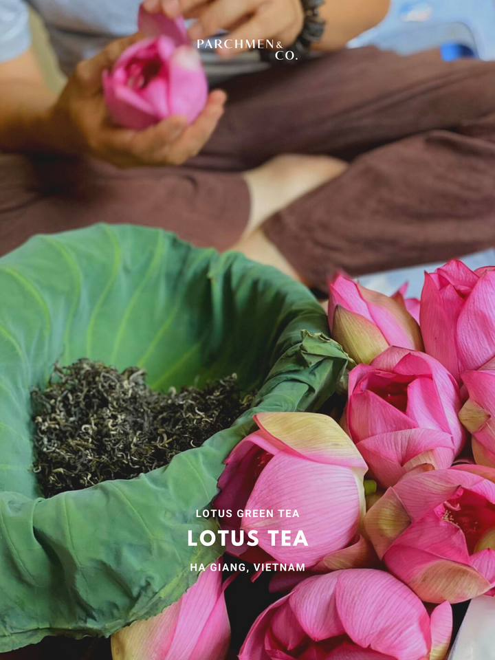 Lotus Green Tea