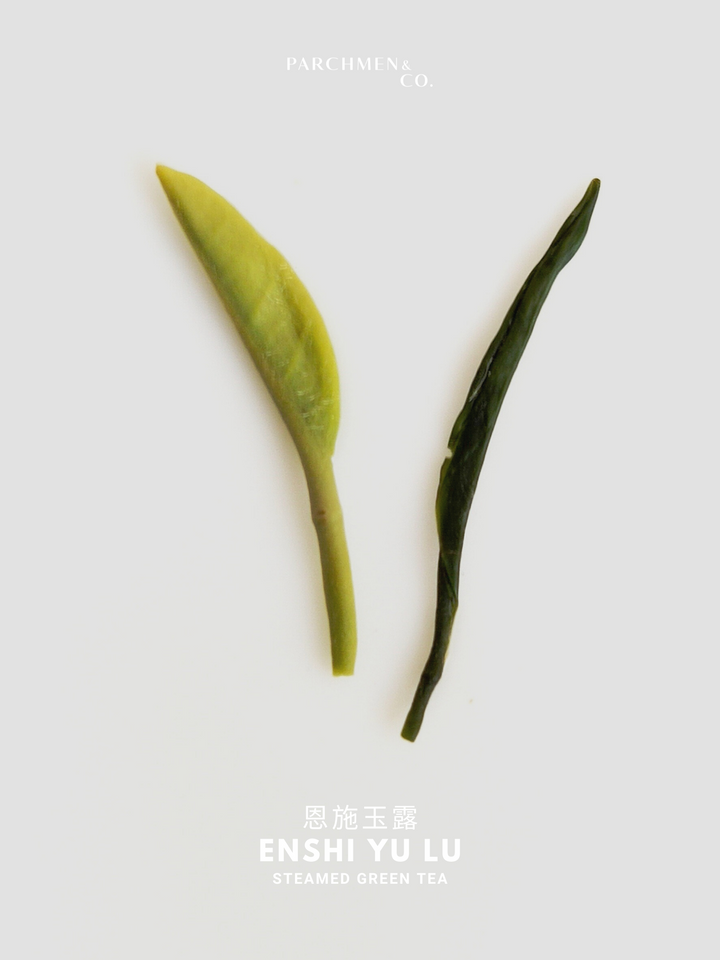 2022 Pre-Qingming Harvest En Shi Jade Dew 恩施玉露