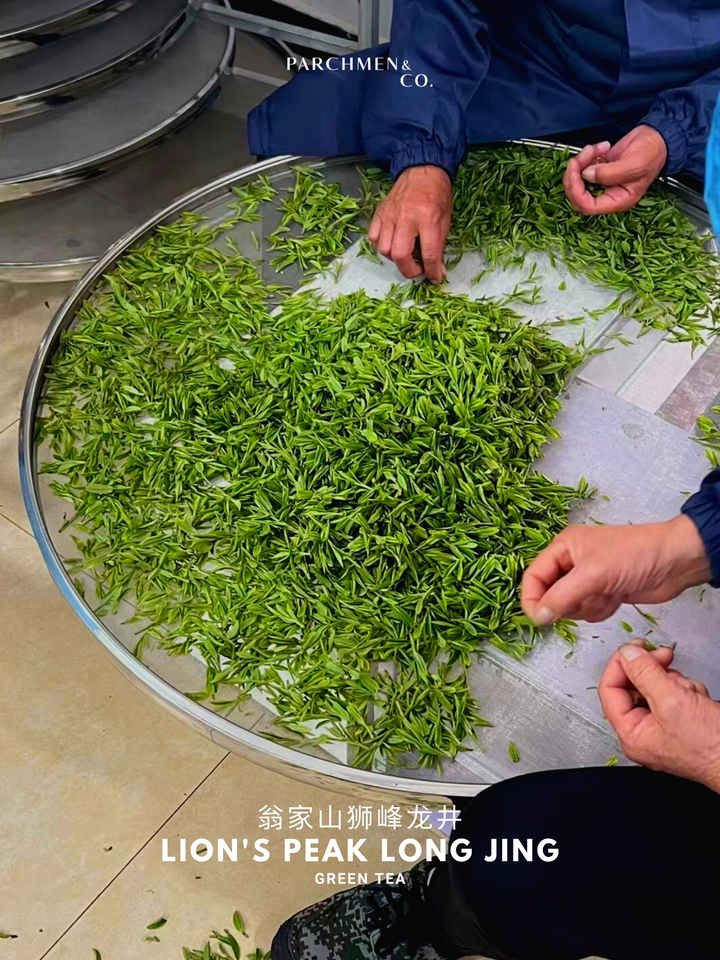 2022 Pre-Qingming Harvest Lion's Peak Long Jing 翁家山狮峰龙井