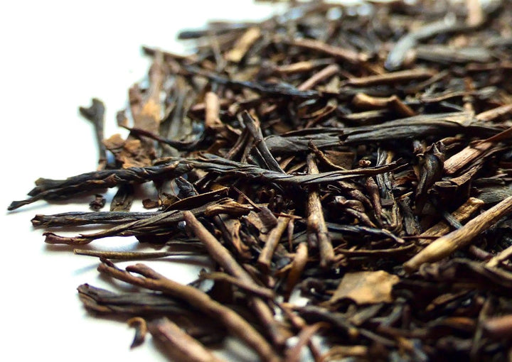 Amber Hojicha