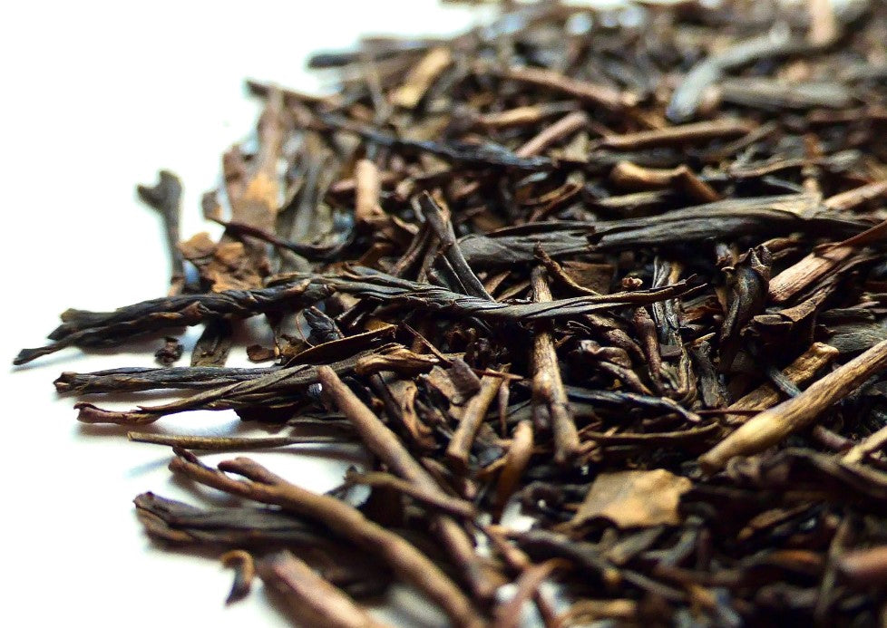 Amber Hojicha