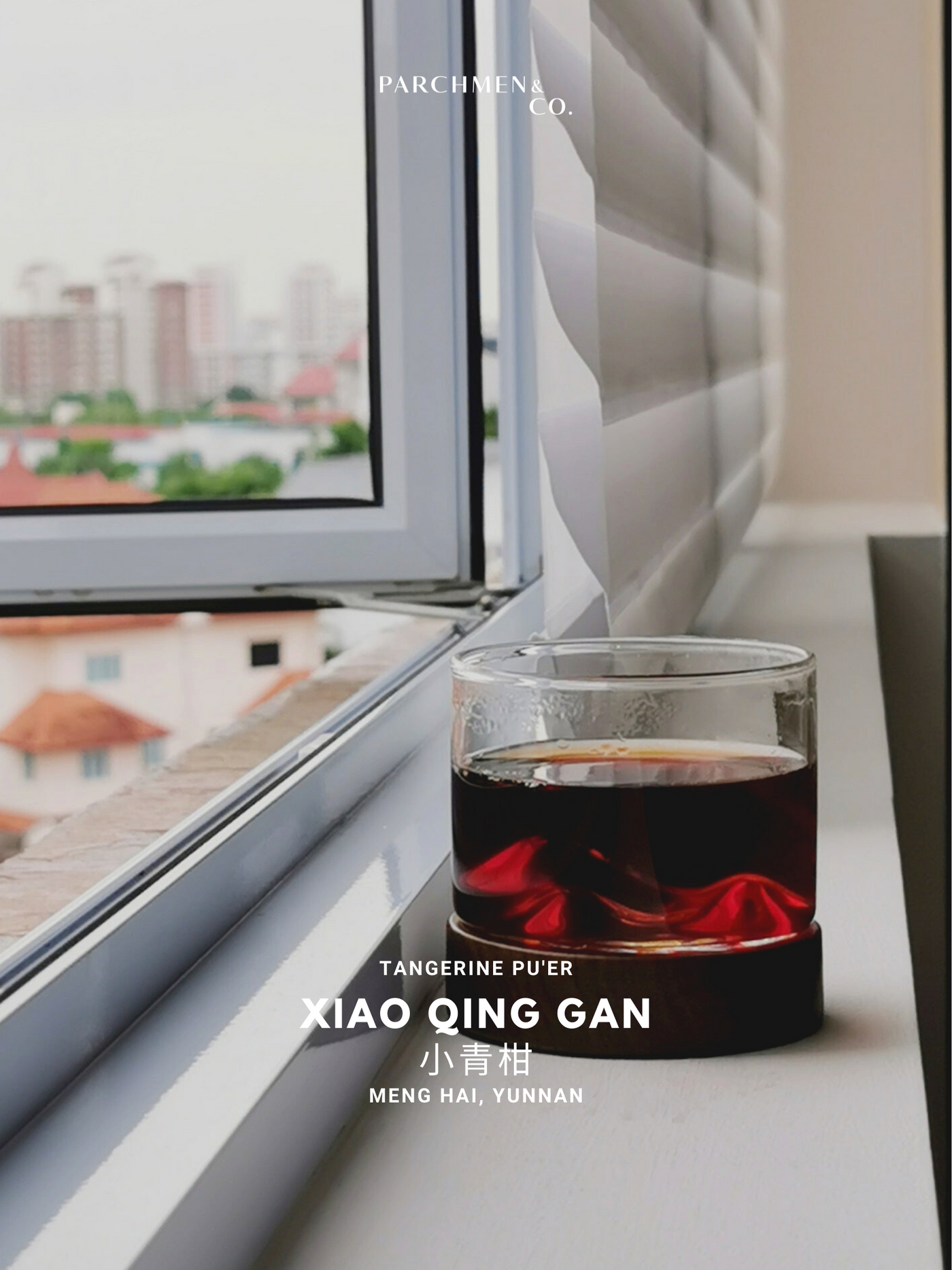 Tangerine Pu'er Xiao Qing Gan 小青甘