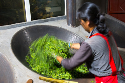 2015 Wu Liang Shan Ancient Trees Raw Pu'er 无量山古树生茶